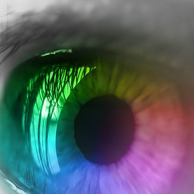 BiancaMinnema's profile picture. 