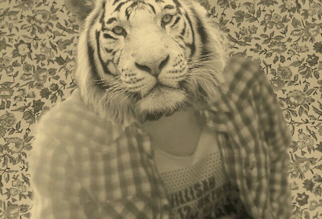 Soy un fracaso en todas las redes sociales.