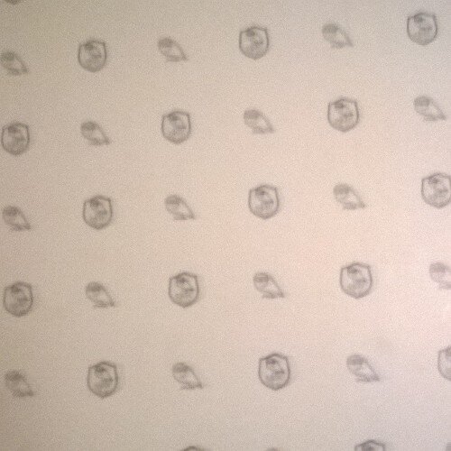 SwfcDanTW's profile picture. Boy bands bore me