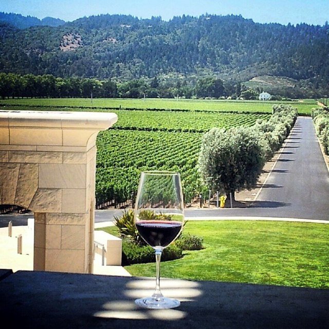 Wine expert; attorney; entrepreneur; real estate mogul. Lover of good wine, but a critic to all. Keep drinking wine to broaden your horizons.