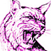 Phillis Wheatley (@wheatley4801) Twitter profile photo