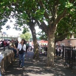 InmaculdaBF's profile picture. 