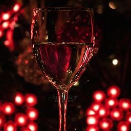 WineChics's profile picture. 