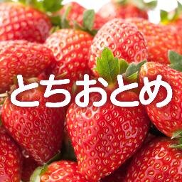 tochigi1115's profile picture. JAとちぎによる栃木のいちご「とちおとめ」の公式アカウントです。
とちおとめに関する情報やプレゼントキャンペーンのお知らせ、
無料サンプリングイベントの情報などを発信しています。