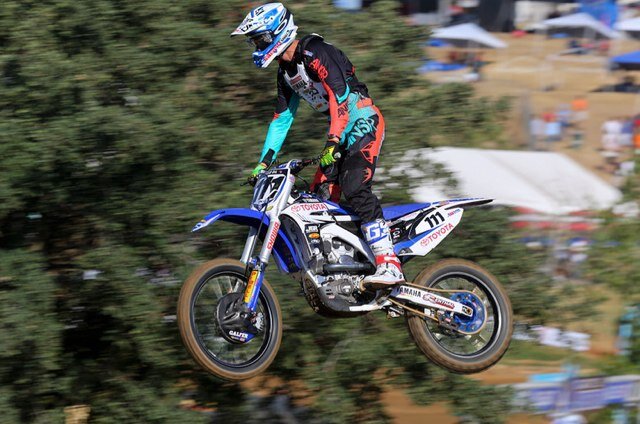 T11_Preston's profile picture. 