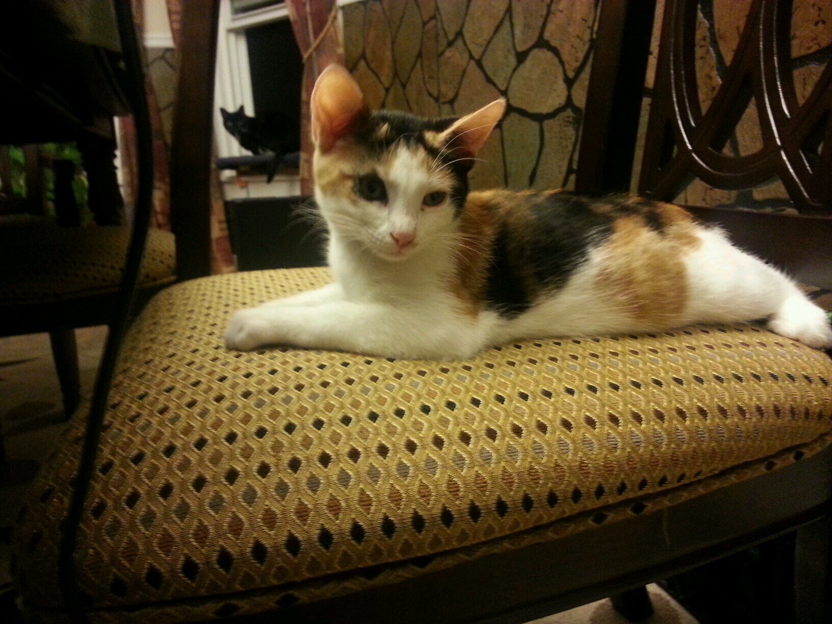 Cieldivin's profile picture. 