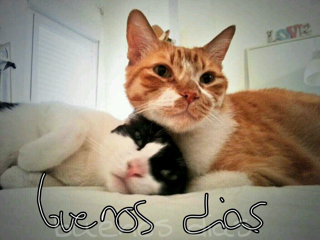 Duermo poco ......§üèño Múçhò!!!!