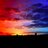 Red Blue