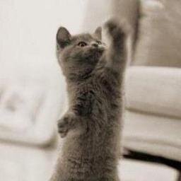 garbo_wong's profile picture. 