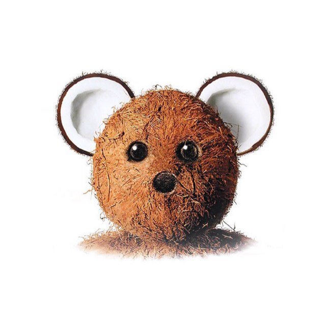 foxinsoxonbox's profile picture. Enthusiast of the interesting.