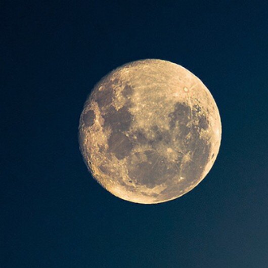 DESCOMPLICADA / Vivir sin emociones NO es vivir /LUNATICA