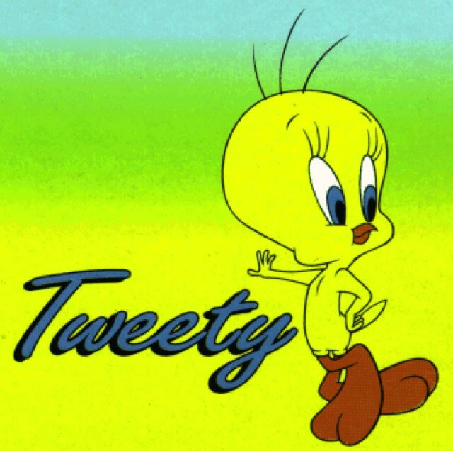 MR.تويتي-tweety.