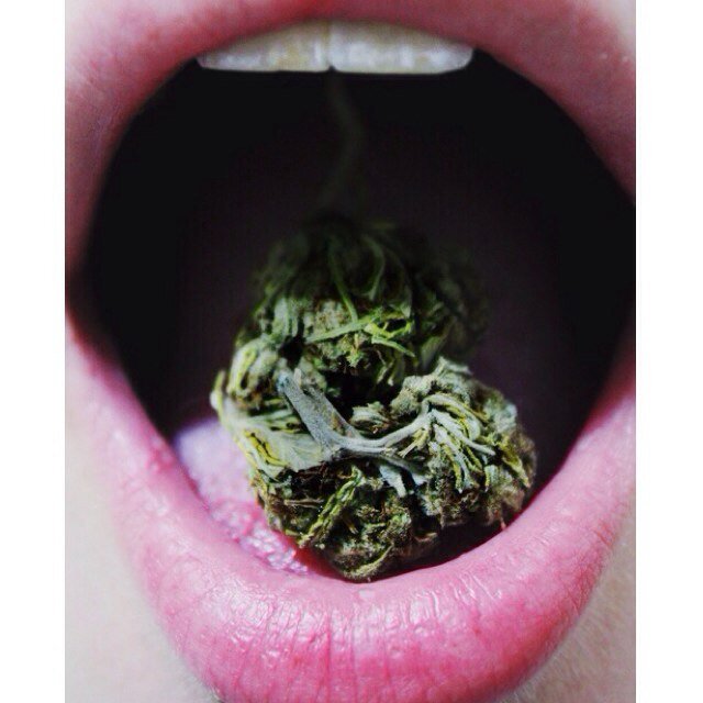 Just your average girls strollin' through life one puff at a time #StayLifted