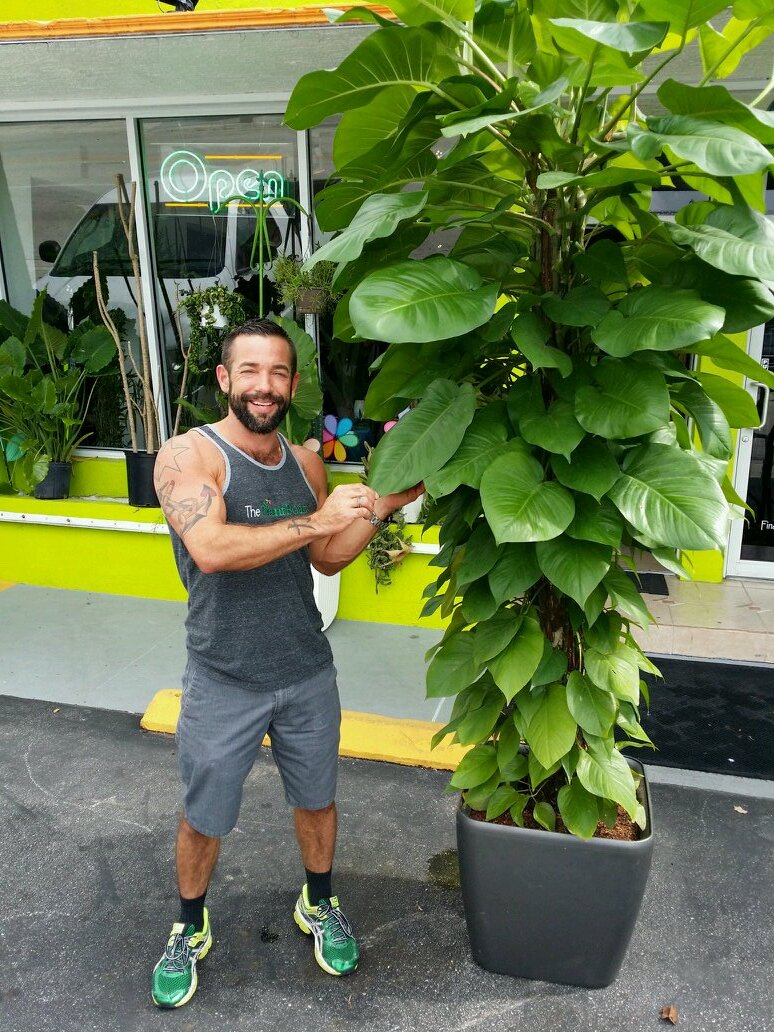 exotic indoor and outdoor plants