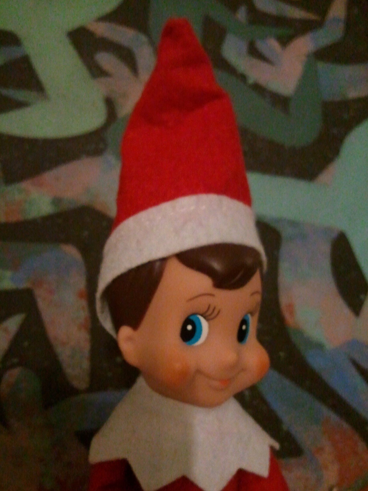 Santa sent me to watch over Katy Jay. 
I just wanna have fun!