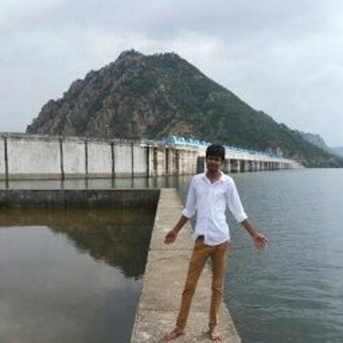 Postage Stamps collector from india