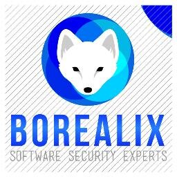 BorealixSec Profile Picture