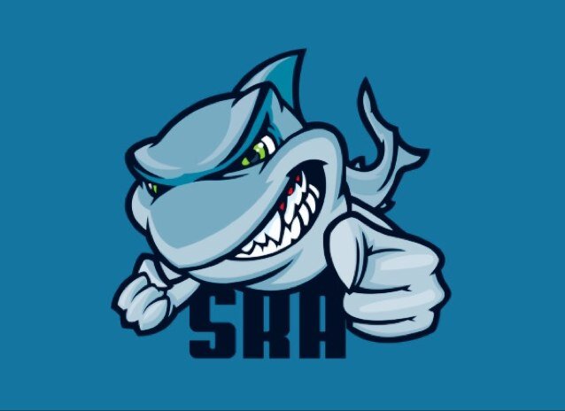 Ps3 Tournament hoster 
                 4v4s, 3v3s, 2v2s
           Admins in every tournaments 
         Retweet anything involving Cod