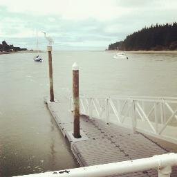 RachelDippie's profile picture. Kiwi Teacher in London
Mum to one small dog and one even tinier human