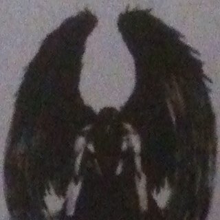 EmilyEngel6's profile picture. 