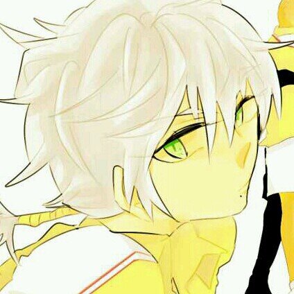 伊勢尾さんのプロフィール画像