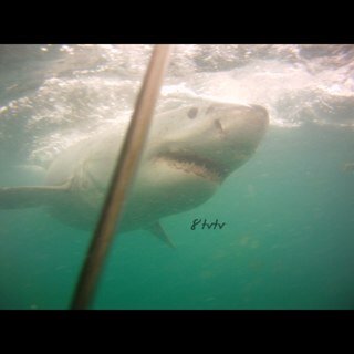 8classpro's profile picture. 