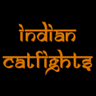 indiancatfights's profile picture. Catfights, women wrestling, real experiences, fantasy stories. Catfight erotic books- https://t.co/aAORveAzn7 | Insta- https://t.co/Z5bWomB1J7
