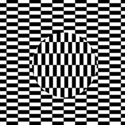 tommylavalee's profile picture. 