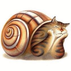 Люблю Open Source, хайку, Го (Бадук, Вейчи), каратэ