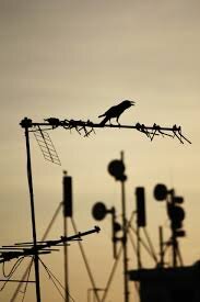 ekiachmadi's profile picture. Follow @ekieriansah