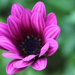 progga22's profile picture. 