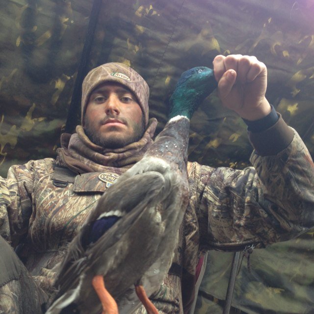 University of Tennessee at Martin. Savannah, TN