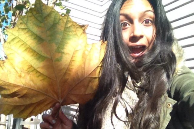 DrSpicyChocolat's profile picture. 💧swag sauce on full drip💧