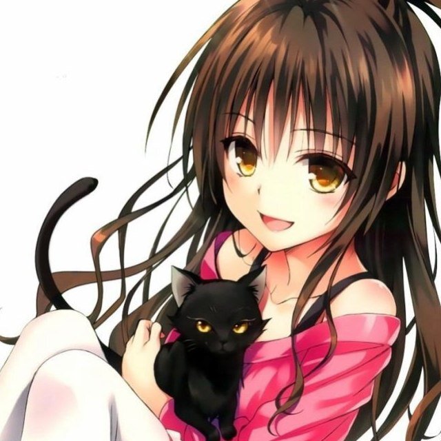 カゲプロ/ボカロ/進撃の巨人/ラノベ/ピンク/可愛い&綺麗⇒好き♡ 甘党/多重人格/バカ/中3/受験生/猫口調⇒主☆ ピアノ/イラスト/恋バナ/読書⇒趣味♪ 仲良くしちゃってくらさぃっ‼︎! 無言フォローごめんさぃですっ‼︎!