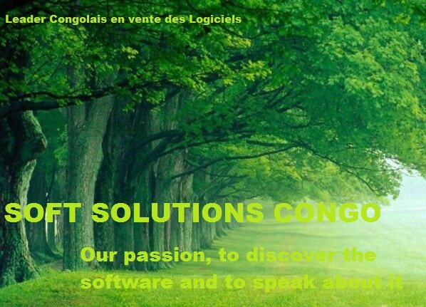 Soft solutions Congo entreprise Congolaise de promotion, distribution et l'intégration de solutions informatiques y compris les solutions de sécurité.