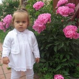 yabagetmaster's profile picture. Художественная галерея  Московская область: Портреты, картины, художественные рамы в продаже и на заказ. Коллекционная живопись. Выставка-продажа картин.