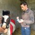 Davy Russell (@_Davy_Russel_) Twitter profile photo