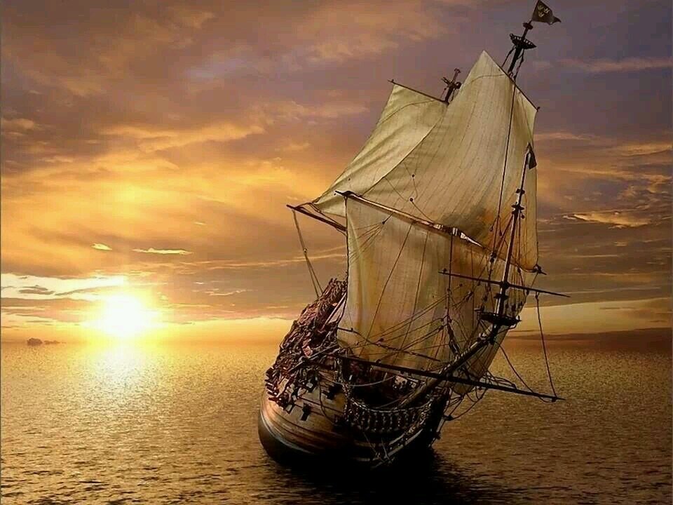 Timm 🇺🇸#FBR #BLM🇪🇺 #FBPE #FF🇱🇧#Nature 🇦🇷さんのプロフィール画像