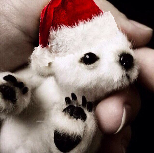 Posting the cutest baby animals to bright up your day, everyday.