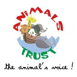 I spent my entire childhood & youth with dogs, with them I learned to love and respect nature and any creature. They taught me the real meaning of friendship.
