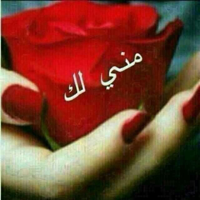 AlgoreAz's profile picture. احلى الحب واعطر الورد لكل من نحب