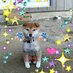 ムー・はなたん (@1204kita) Twitter profile photo ムー・はなたん (@1204kita) Twitter profile photo