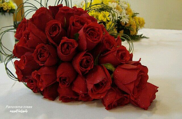 kaab7777's profile picture. 