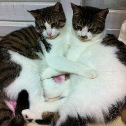 오랫동안 꿈을 그리는 사람은 마침내 그 꿈을 닮아간다.