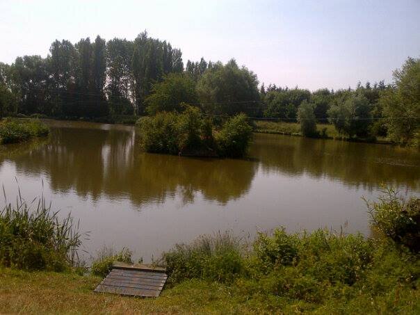 Angling Club with 5 lakes and a 1 mile stretch of Warks Avon situated south west midlands UK with over 130 members. https://t.co/yHphZFdJnI