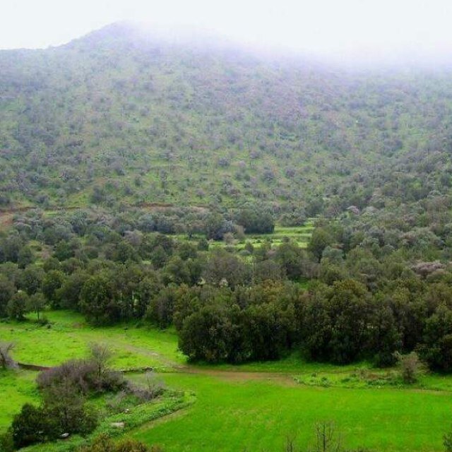 سبحان الله والحمد لله والله اكبر ولااله الا الله