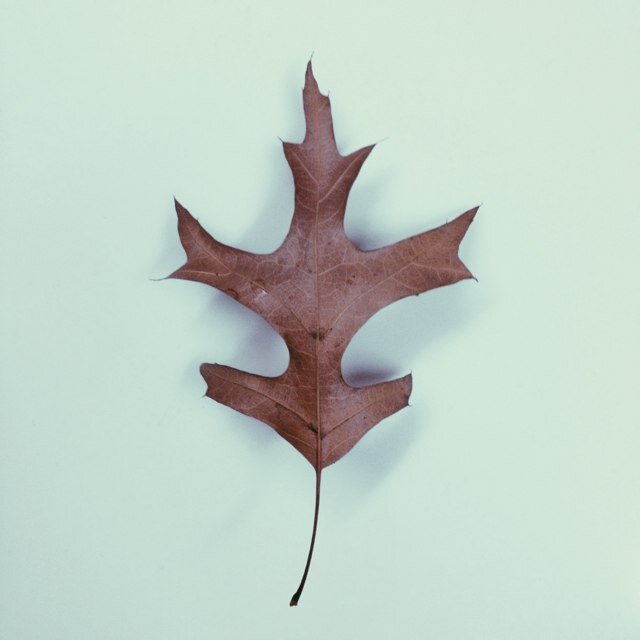 gwigb's profile picture. 피아니스트, 작곡가, 스트링편곡가, 오케스트레이터