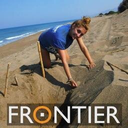 Sea Turtle conservation project in Greece