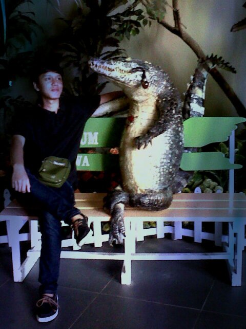 widhisulistyo's profile picture. Industrial Engineering | UMS '13