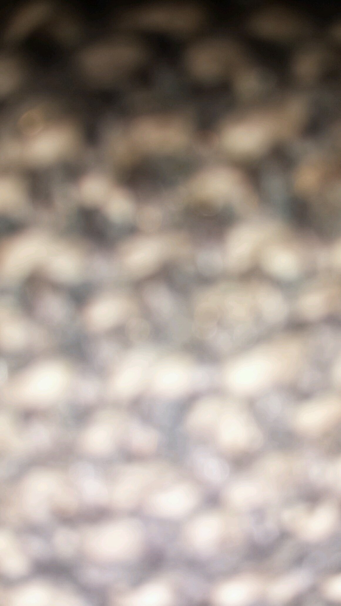 Time2ChangeBizz's profile picture. 